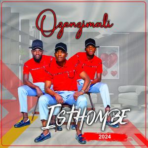 Isithombe (feat. Bahubhe)
