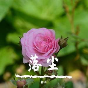 落尘（Cover：徐均朔）
