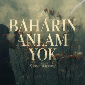 Baharın Anlamı Yok