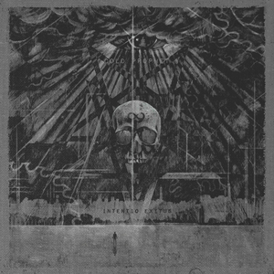 Glowing Curtains of the Source