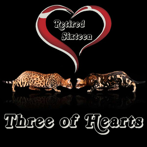 Black Swallowin' Hole