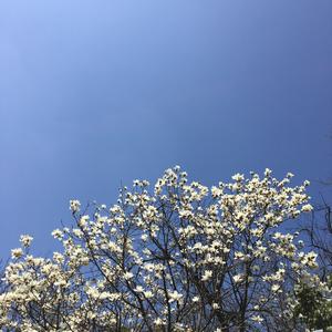 我依然记得你眼中的依恋