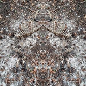 Loudspeaker (Marken Album Version)