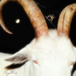 牧羊女（Prod.Vibeboi）