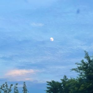 总有一天你会出现在我身边