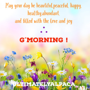 G'MORNING！