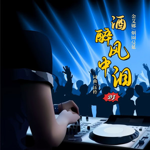 酒醉风中泪 (DJ默涵版)