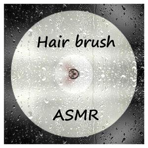 Hair brush