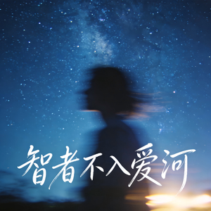 智者不入爱河