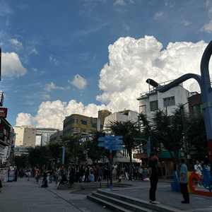 大鱼 “阿卡贝拉版”