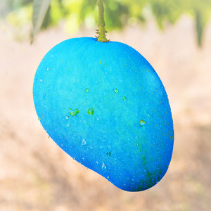 青い果実 (feat. 初音ミク)