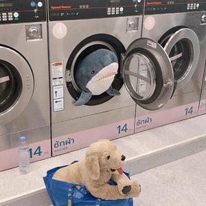 今天也想见到你