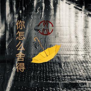 使者-你怎么舍得（Sirkul / Subinur / Nutul remix）