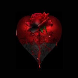 Hide My Savage/Flawless Shopping