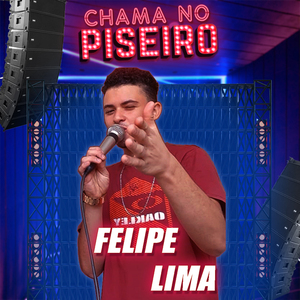 Você Colocou a Culpa em Mim