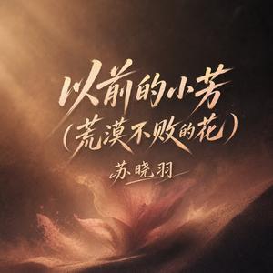 以前的小芳(荒漠不败的花)