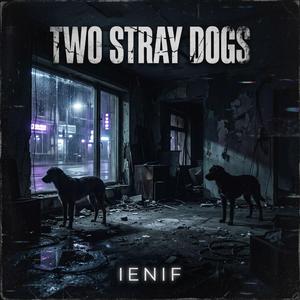 Two Stray Dogs