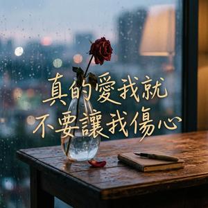 真的愛我就不要讓我傷心