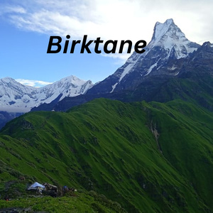 Birktane