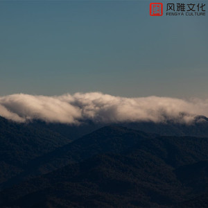 踏在田野的我 -古筝