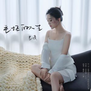 毛坯的人生（深情版）