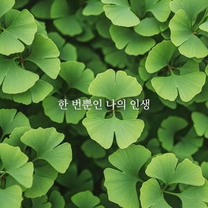 한 번뿐인 나의 인생 (Inst.)