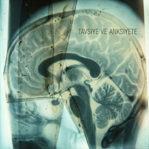 Tavsiye ve Anksiyete