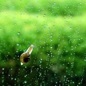 那都不迷你一定