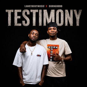 Testimony