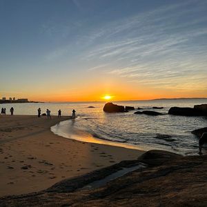 我不是你的宋冬野