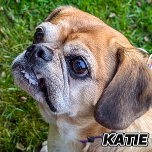 Katie