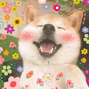 ilem-夜间出租车 (VOCALOID版伴奏) 45分钟版（Mr.Rooster remix）