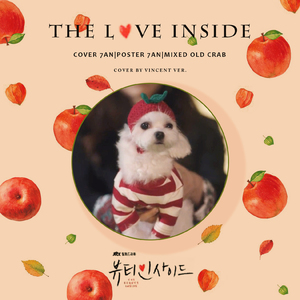 The love inside（翻自 Vincent）