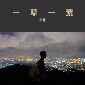 一荤一素