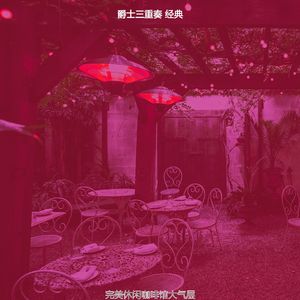 温和星期日梦想