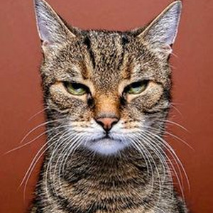 Cameras / Good Ones Go Interlude (slowed)