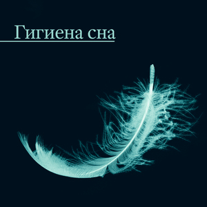 Сонные звуки