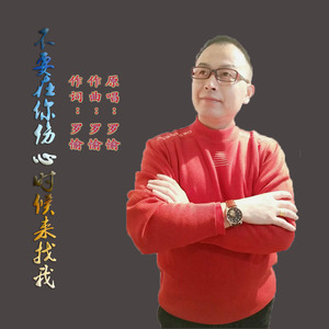 不要在你伤心时候来找我