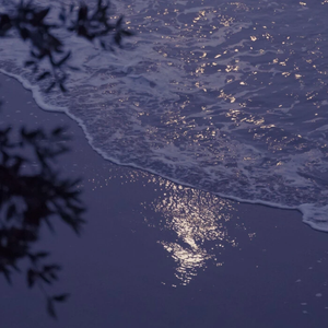 海风替我说了谎