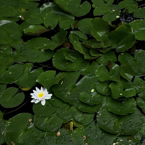 我和我的骄傲在深夜里互相折磨