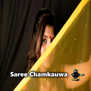 Saree Chamkauwa