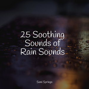 Seagulls on the Beach