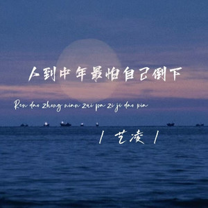 人到中年最怕自己倒下 (DJ阿能版)