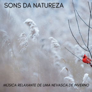 Troncos Queimando Do Frio