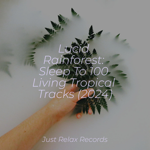 Twilight Stroll Retreat