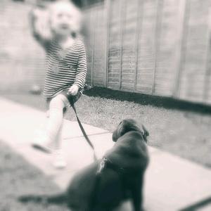 L ♥ ve is all you need