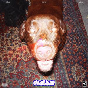 CRAYZEE (feat. Téčko)