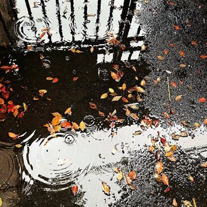 不只是场梦（忽然下雨该往哪躲）吉他弹唱