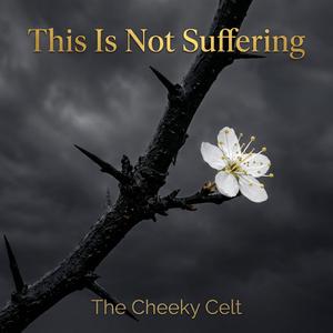 This Is Not Suffering