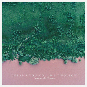 Dreams you couldn't follow